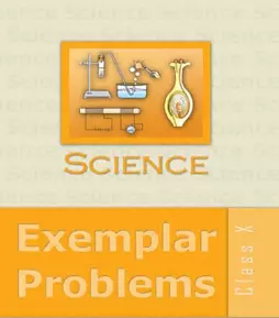 NCERT Class 10 Science Exemplar Problems